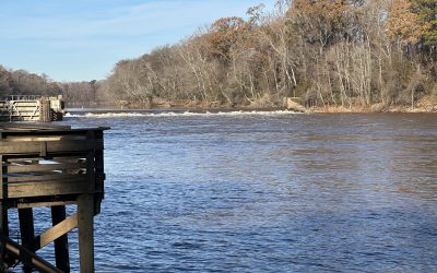 2025 October, Scary good fishing