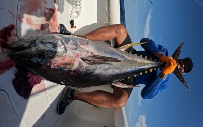 2026 February,  Sailfish & Tuna