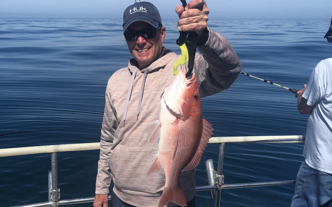 2026 April,  Fishing is good!!