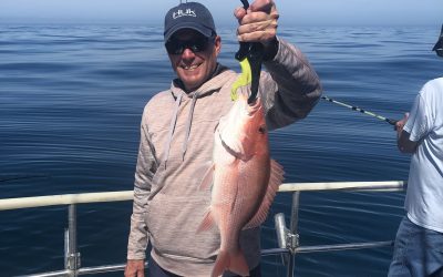 2026 April,  Fishing is good!!